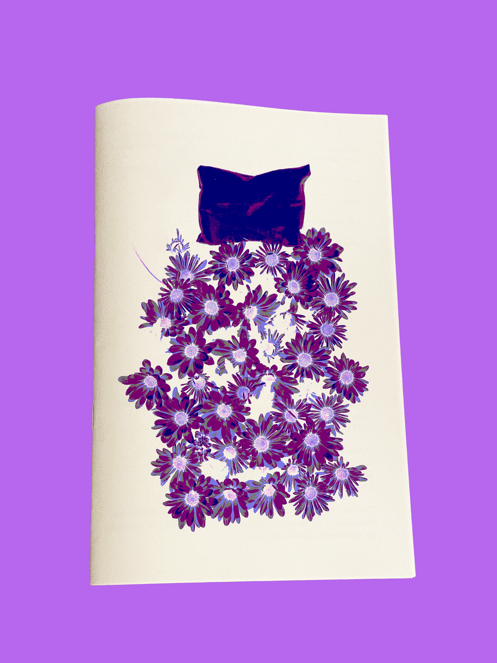 From the Other Pillow Zine