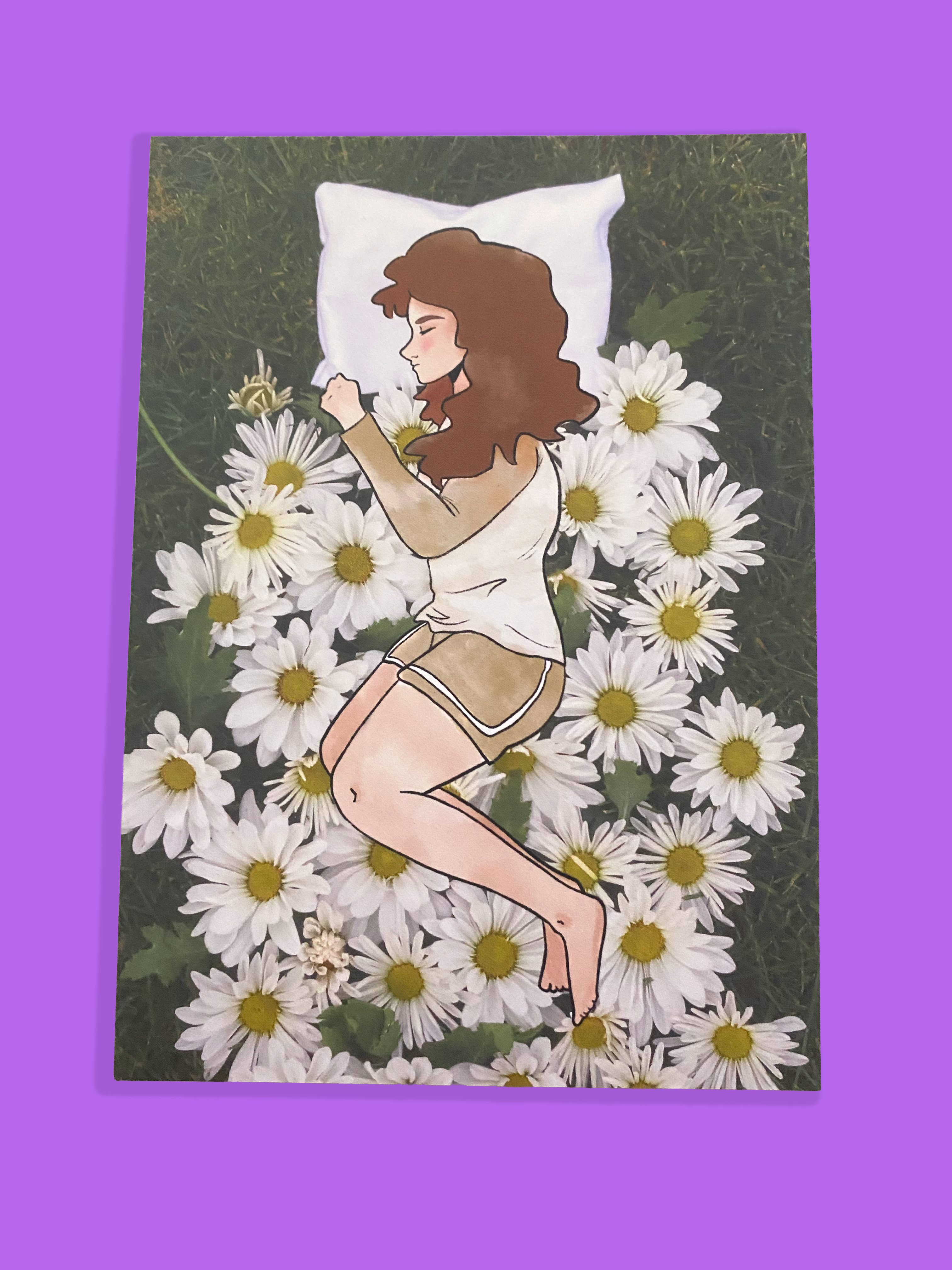 My Bed of Daisies Postcard